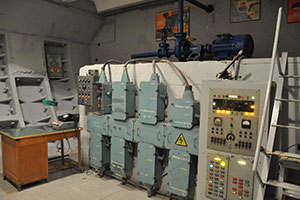 Owl Image